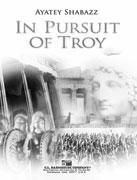 In Pursuit of Troy - click here