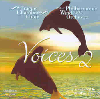 Voices #2 - click here