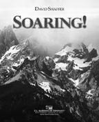 Soaring! - click here