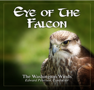Eye of the Falcon - click here