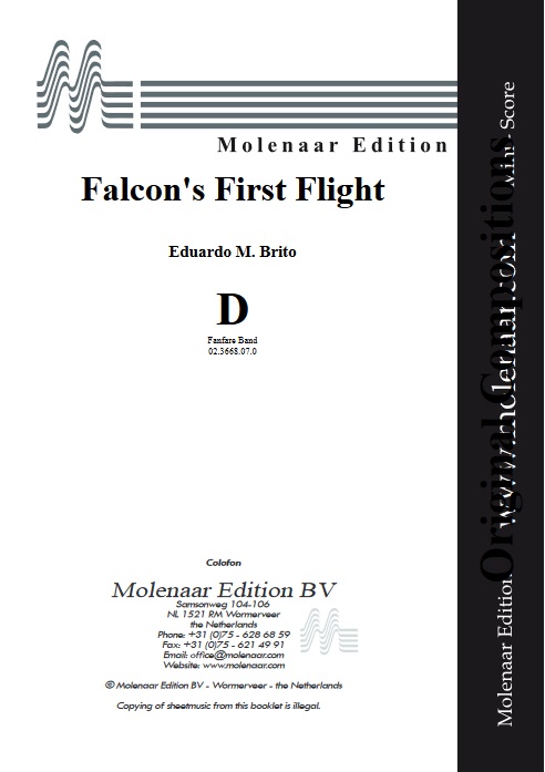 Falcon's First Flight - click here