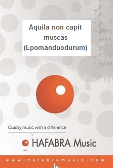 Aquila non capit muscas (Epomanduodurum) - click here