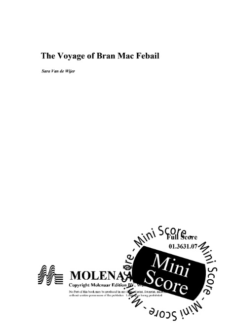 Voyage of Bran Mac Febail, The - click here