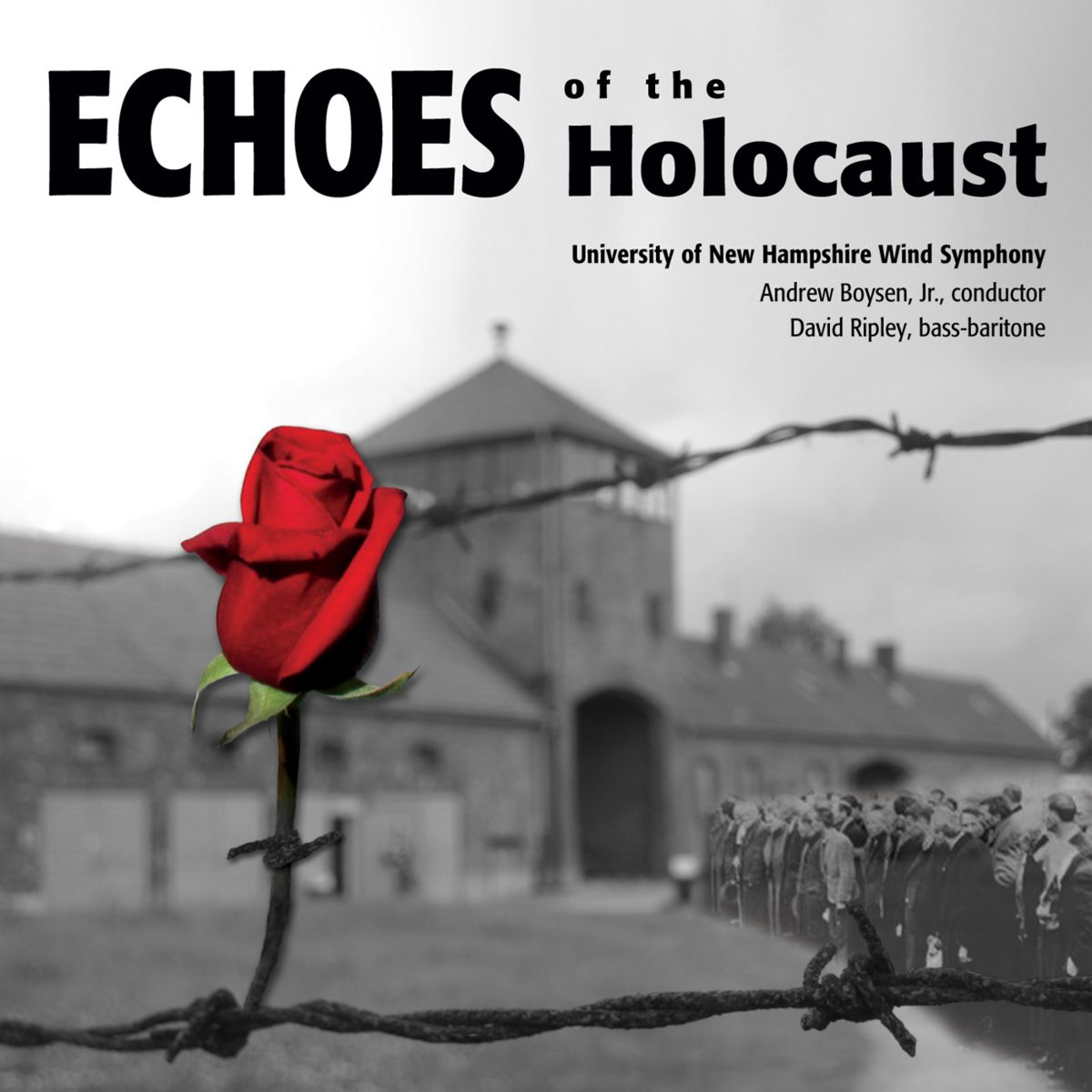 Echoes of the Holocaust - click here