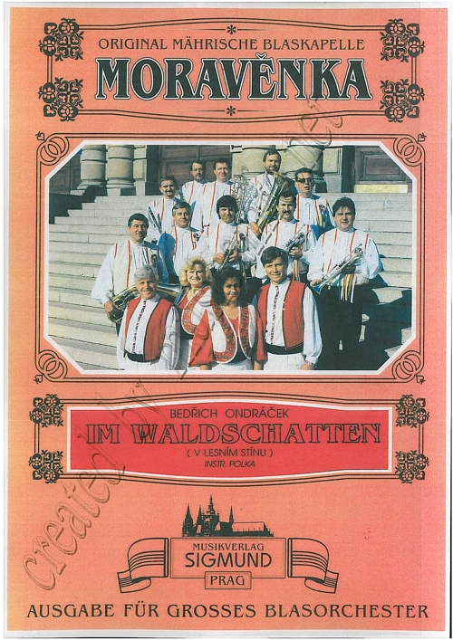 V Lesnim Stinu (Im Waldschatten) - click here