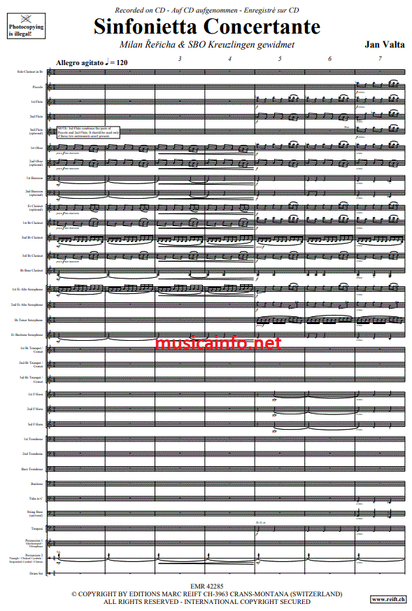 Sinfonietta Concertante - Sample sheet music
