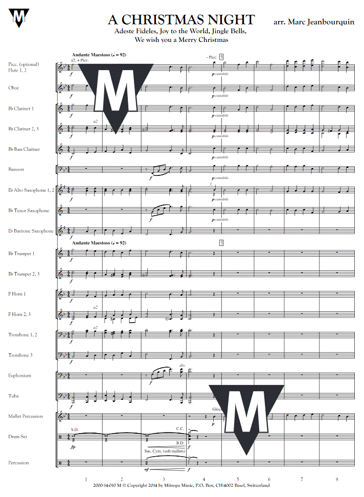 A Christmas Night - Sample sheet music
