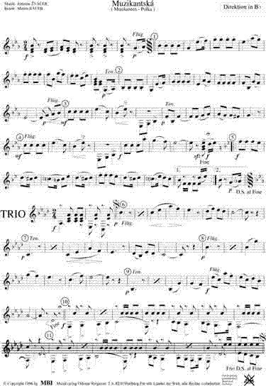 Muzikantska (Musikanten Polka) - Sample sheet music