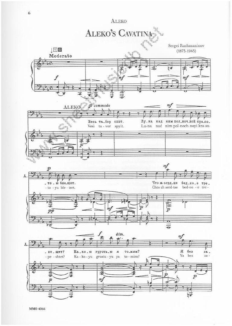 Arias with Orchestra 2 (3007107)